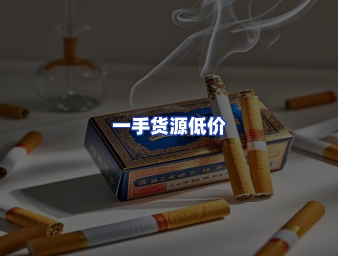 专业团队